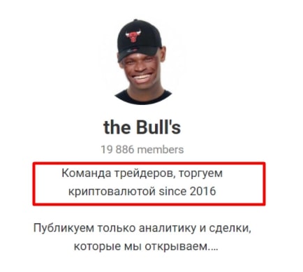 Телеграмм канал The Bull’s