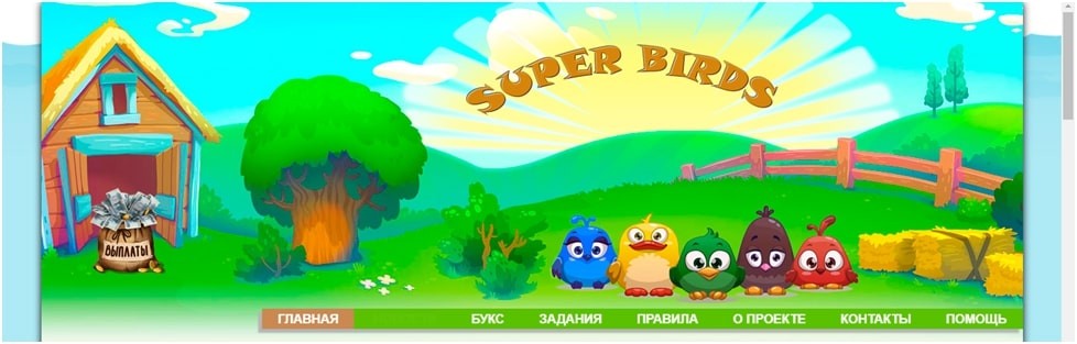 Официальный сайт Super Birds
