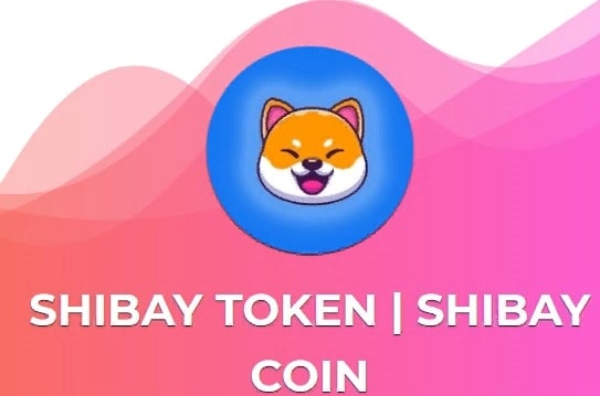 Shibay Pay - криптовалютная экосистема
