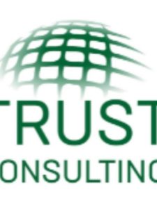 Проект Trust Consulting World