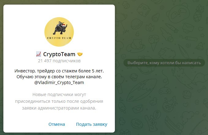 Телеграмм канал CryptoTeam Владимира Немирова