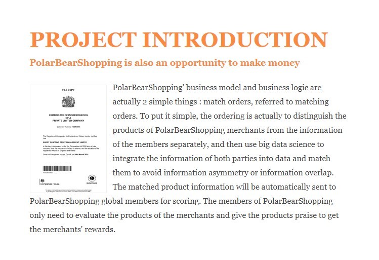 Бизнес модель Polar Bear Shopping