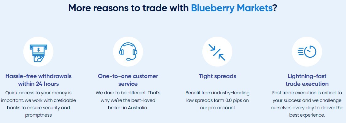 Проект Blueberry Markets