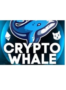 Crypto Whale ltd