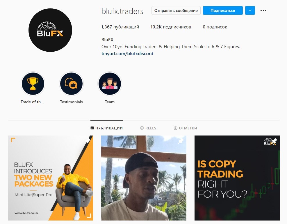 страница blufx.traders в Instagram