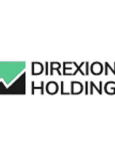 Компания Direxion Holding