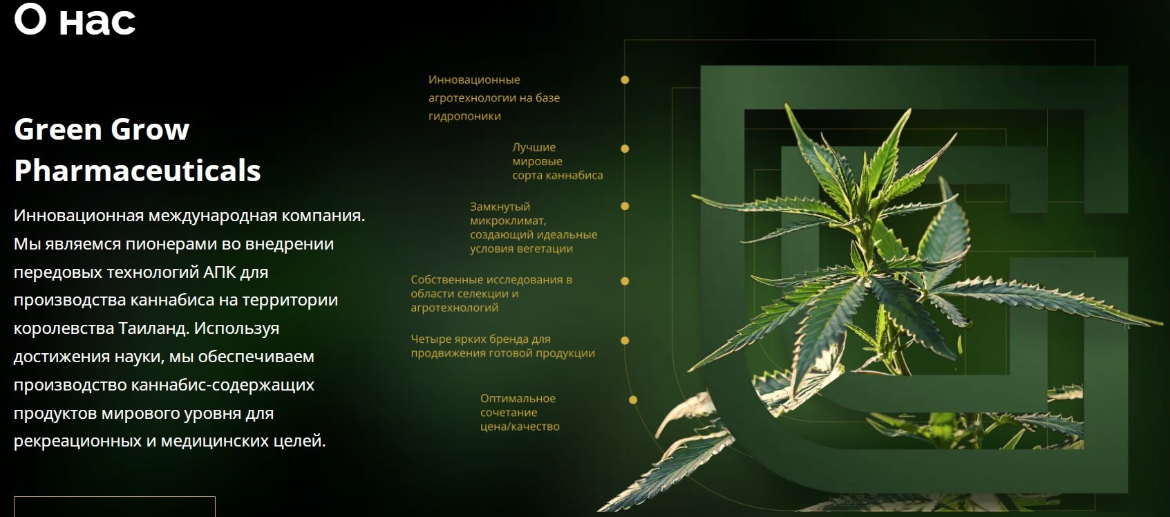 Обзор компании Green Grow Pharmaceuticals