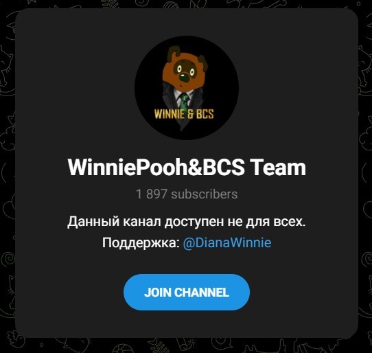 WinniePooh BCS Team в Телеграме