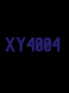 XY4004 брокер