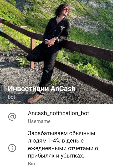 Андрей Шабанов An-Cash.online телеграм