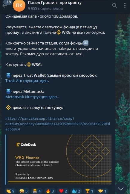 Павел Гришин телеграм криптовалюта WRG