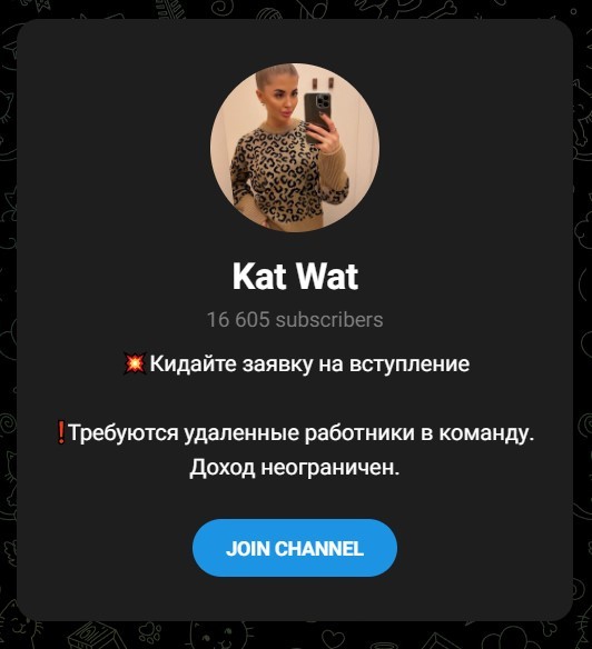 Телеграмм канал Kat Wat
