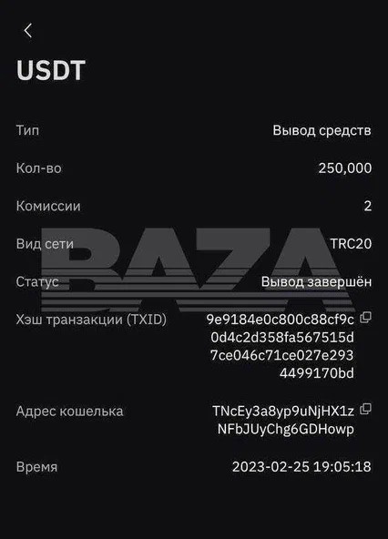 Юрий Бойцов скриншот денежный перевод