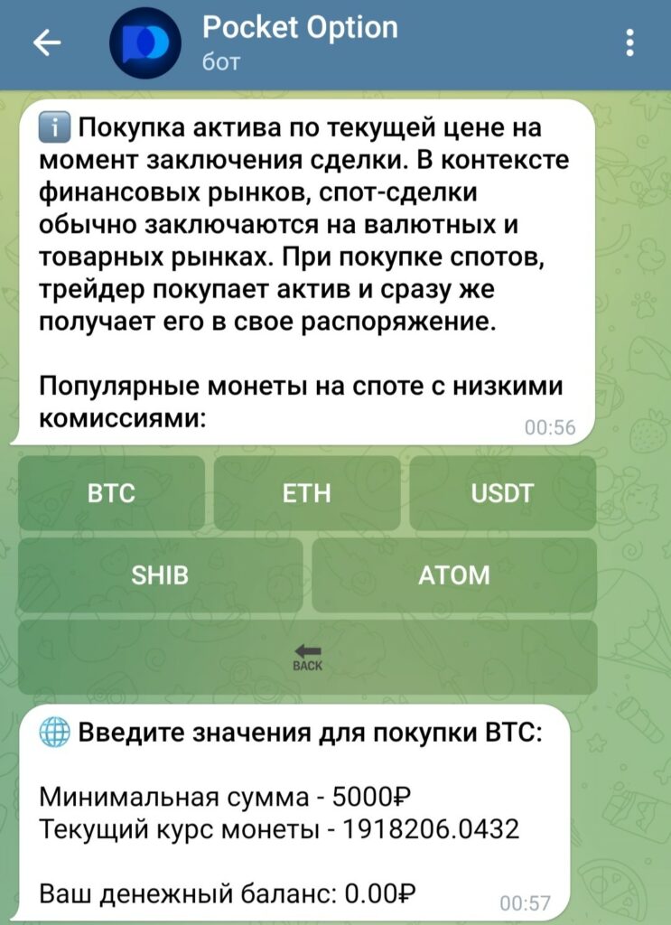 Телеграм Pocket Option Bot обзор