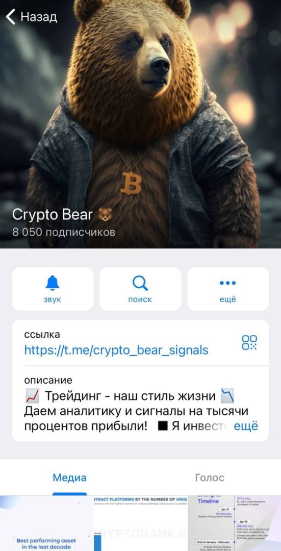 Сrypto Bear телеграмм
