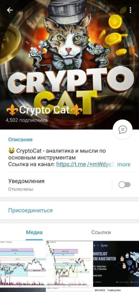 Crypto Cats в телеграмм