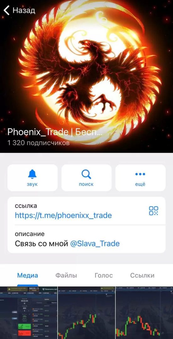 ТГ канал Phoenix Trade