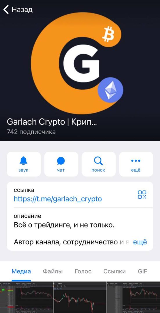 Информация о канале Garlach Crypto