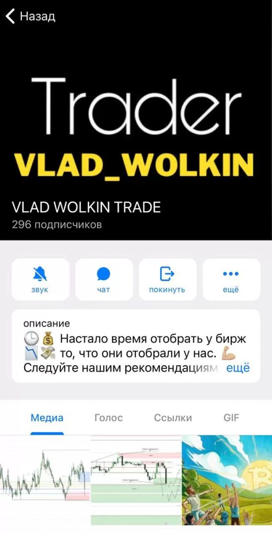 Информация о канале VLAD WOLKIN TRADE