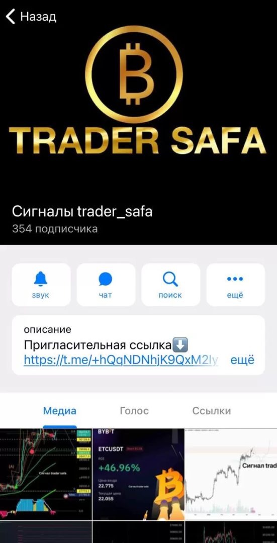 Информация о проекте Trader Safa в Телеграм