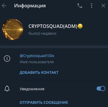 CryptoSquad 100x информация о канале