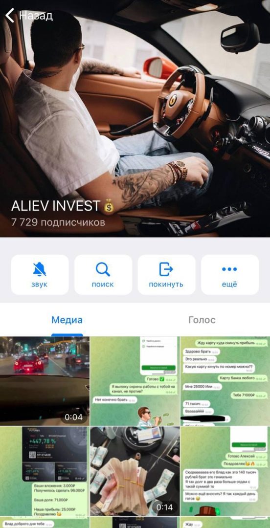 Канал Aliev Invest в Телеграм