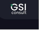 GSI consult