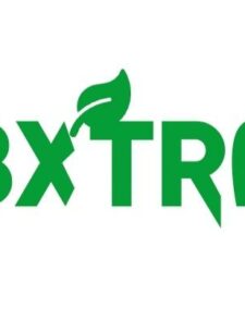 Rbx Tree онлайн-магазин