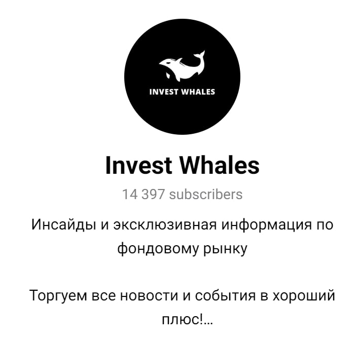 Invest Whales телеграмм