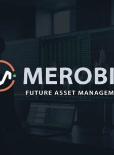 инвестиционный проект Merobit