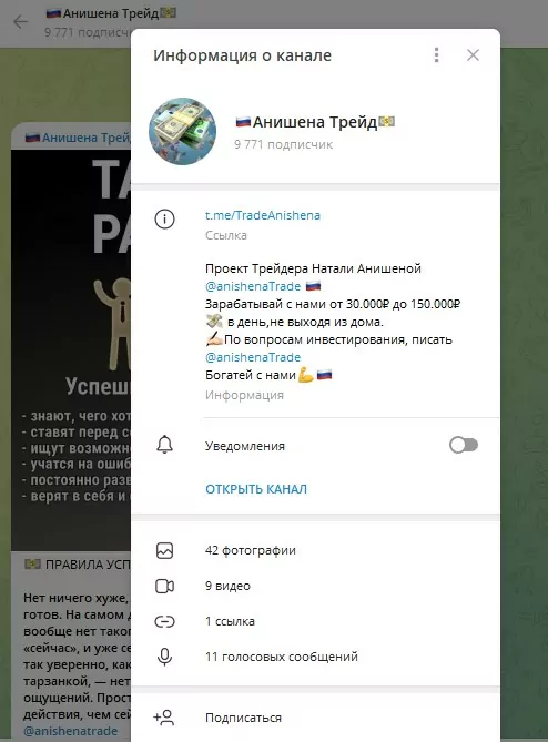 Наталья Анишена информация о канале