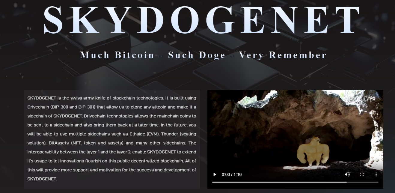 Сайт проекта Sky Doge Wallet