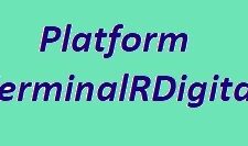 платформа Platform.TerminalRDigital.com