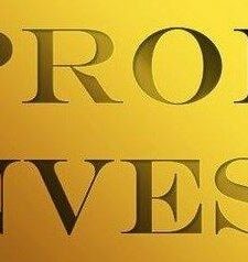 PROFi INVEST – информационный проект