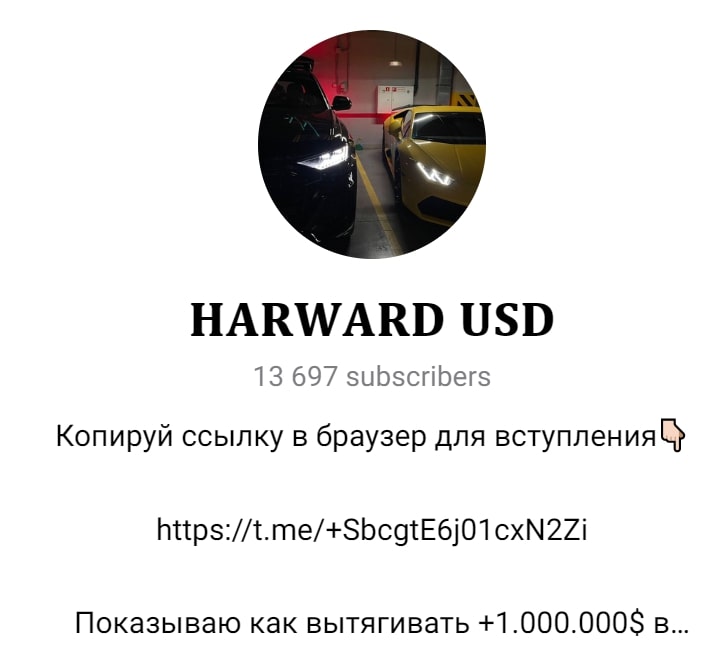 Harvard USD телеграм