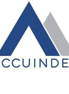 Accuindex