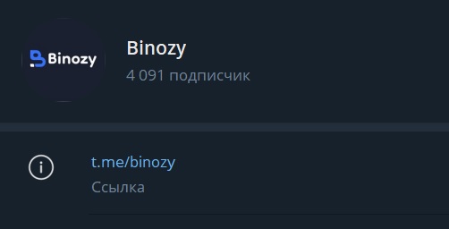binozy wallets